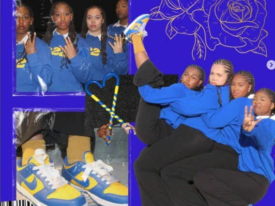 SGRHO